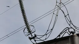 Число погибших в результате теракта в Иордании выросло до девяти человек